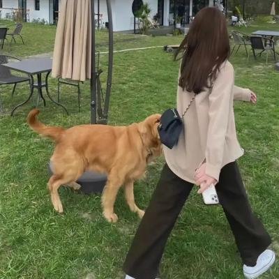 忍者神龟第三季